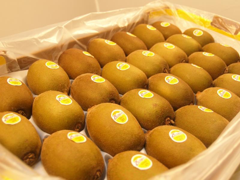 ˮ������