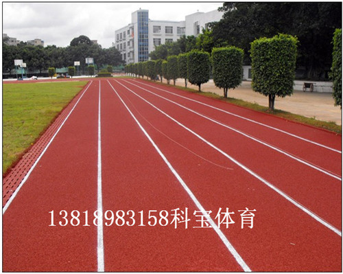 383220_201434112216781.jpg