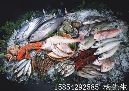 青岛水产品冷冻海鲜进口报关行产品图片高清大