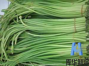 ���͹��߱��������ư�װ�۸� ���߱�����ⱨ��