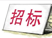 上海铁路局杭州客运段光源停车设备招标公告产100mm点立体图片