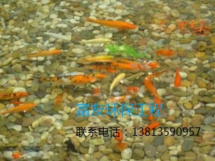 12&nbsp;˾Ըͬ԰ֹ˾ɽءҵ˾ȼ־ڿϵͳĸ˺