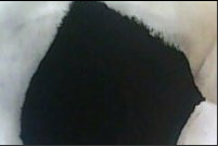 ̿ڡɢĥɫĸɫɫĸƤֽ